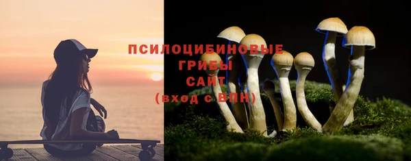 MESCALINE Каменка